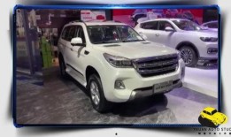 哈佛h9最新爆料视频,最新爆料视频深度解析